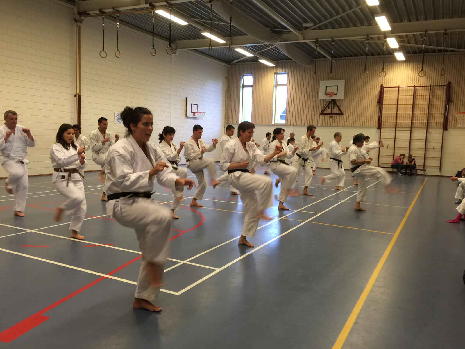 Karate Den Haag Ypenburg